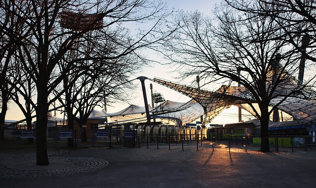 为了现实 为了现实