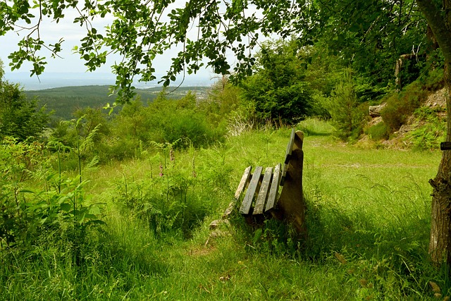 取得了显著 取得了显著